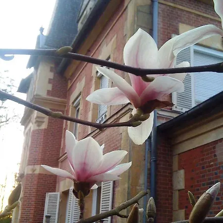 Lisieux Country House * Firfol