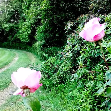 Lisieux Country House * Firfol