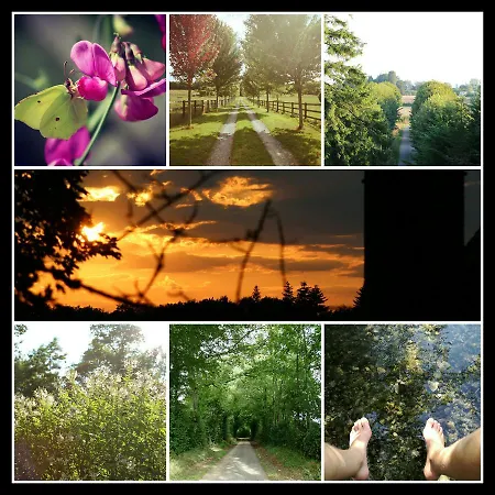 B&B Lisieux Country House *