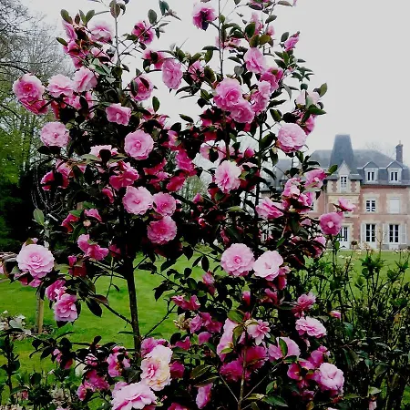 Lisieux Country House Firfol