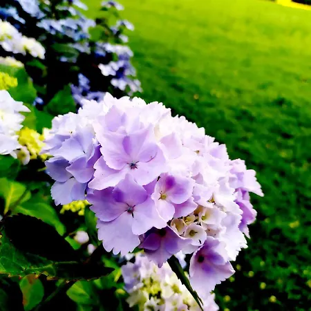 B&B Lisieux Country House *