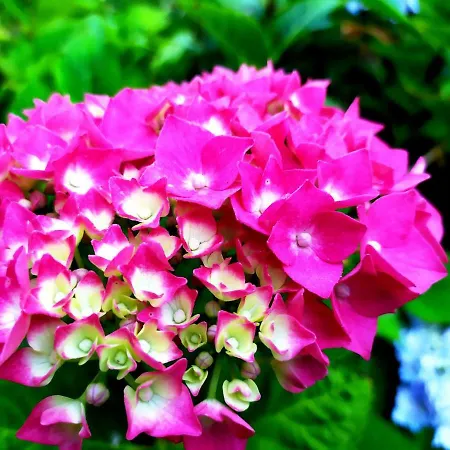 Lisieux Country House B&B