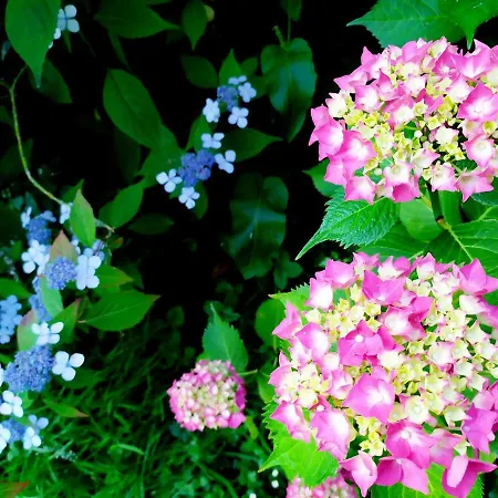 Lisieux Country House *